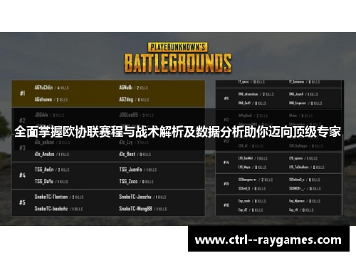 全面掌握欧协联赛程与战术解析及数据分析助你迈向顶级专家