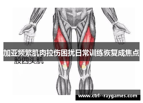 加亚频繁肌肉拉伤困扰日常训练恢复成焦点
